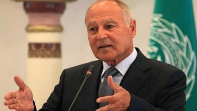 أحمد ابو الغيط