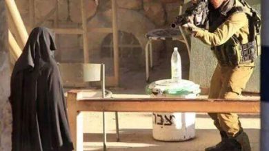 هديل الهشلمون