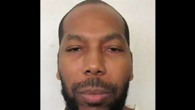 دومينيك راي