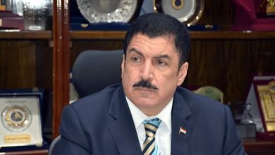 محافظ القليوبية