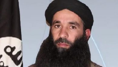 يحي أبو همام