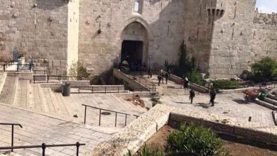 باب العامود