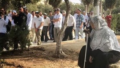 عشرات المستوطنين المتطرفين يقتحمون الأقصى بحراسة شرطة الاحتلال
