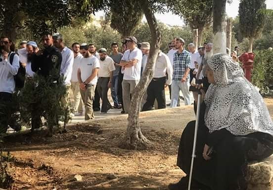 عشرات المستوطنين المتطرفين يقتحمون الأقصى بحراسة شرطة الاحتلال