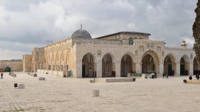 زيد الأيوبي : إعلان السيادة على الضفة الغربية وغور الأردن إنتهاك صارخ لقرارات الشرعية الدولية