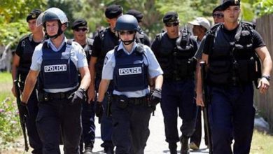 الشرطة الفنلندية