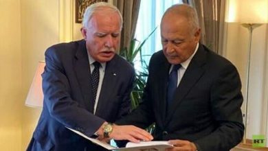 المالكي - أبو الغيط