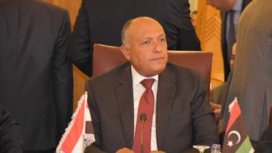 وزير الخارجية المصري