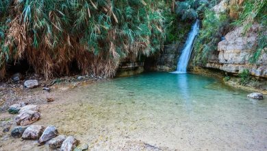 محميات طبيعية بالضفة الغربية