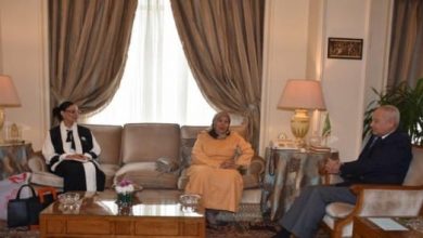 أمين عام الاتحاد النسائي العربي العام