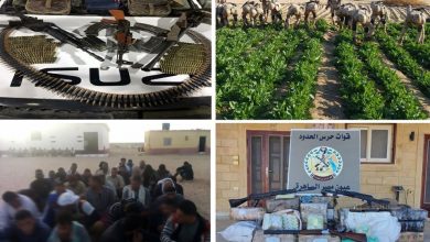 القوات المسلحة تدمر 10 فتحات نفق بشمال سيناء وتضبط 318 بندقية