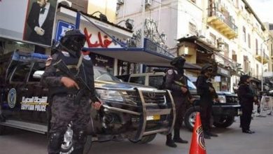 الشرطة المصرية