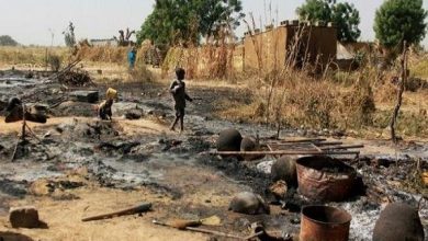 داعش - نيجيريا