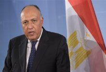 وزير الخارجية سامح شكري