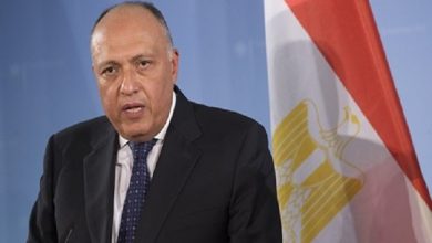 وزير الخارجية سامح شكري