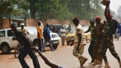 أفريقيا الوسطي