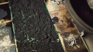 حرق مسجد فلسطين