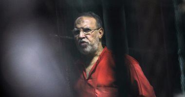 عصام العريان