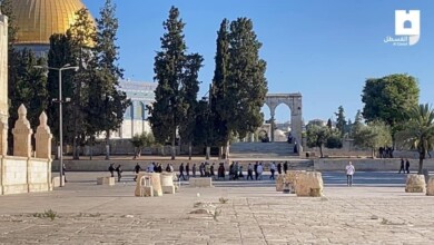 اقتحامات الأقصى صباح اليوم