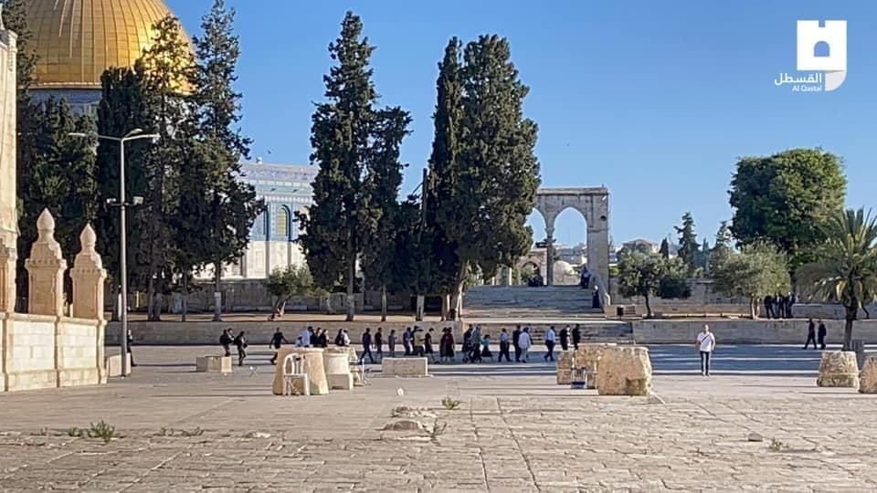 اقتحامات الأقصى صباح اليوم