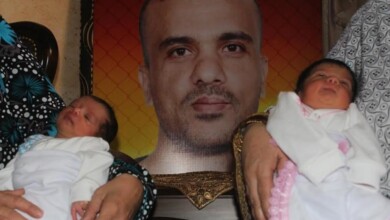 سفراء الحرية