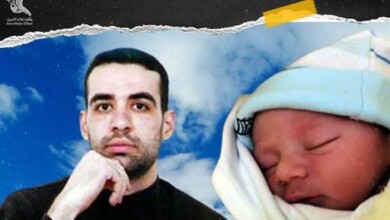 سفراء الحرية