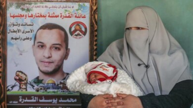 سفراء الحرية