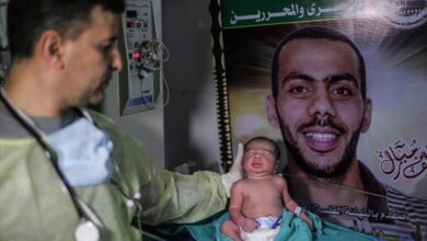 سفرا الحرية