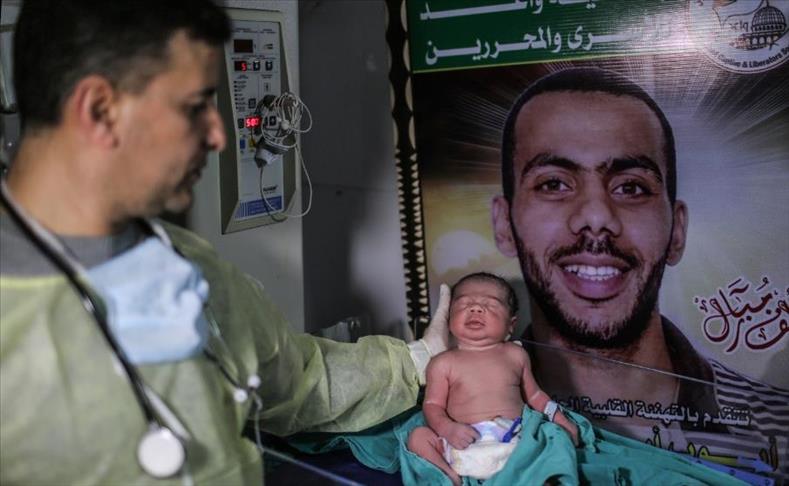 سفرا الحرية