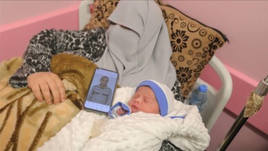 سفراء الحرية