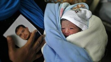 سفراء الحرية