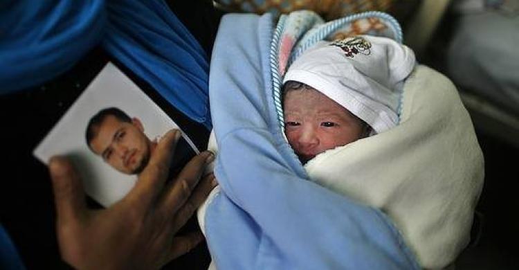 سفراء الحرية