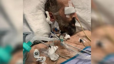 موسى أو محاميد