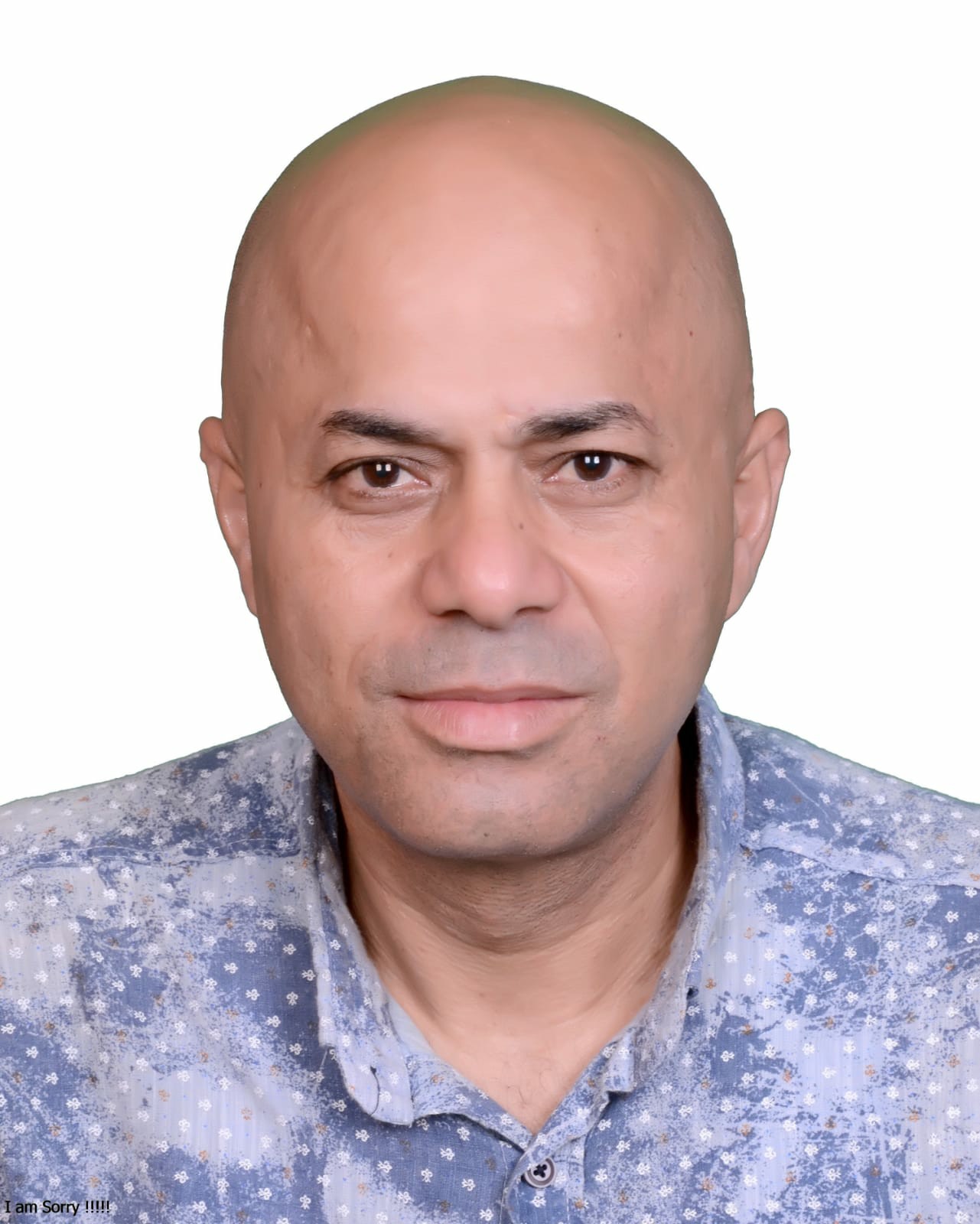 مصطفى النبيه